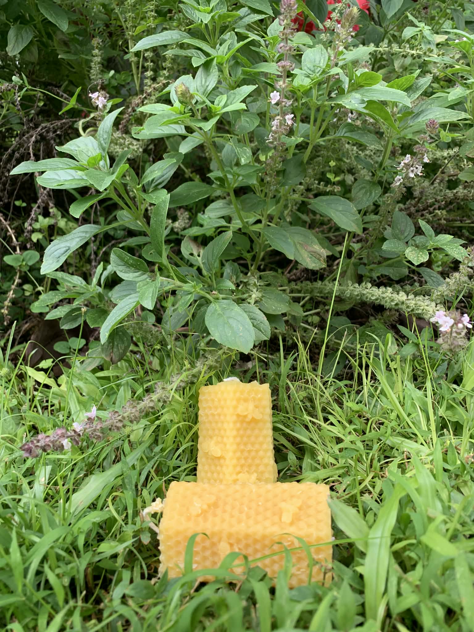 Hexagonal bee tower